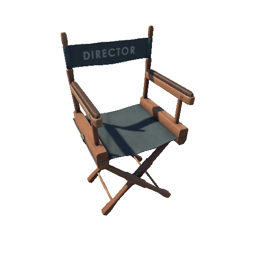 Directors Chair 05